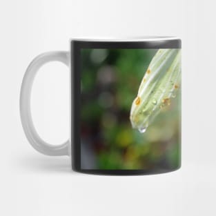 Water Droplets Mug